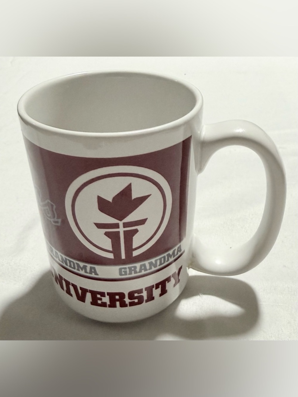 Seattle Pacific University SPU Coffee Mug Falcon Mascot Gift For Grandma
